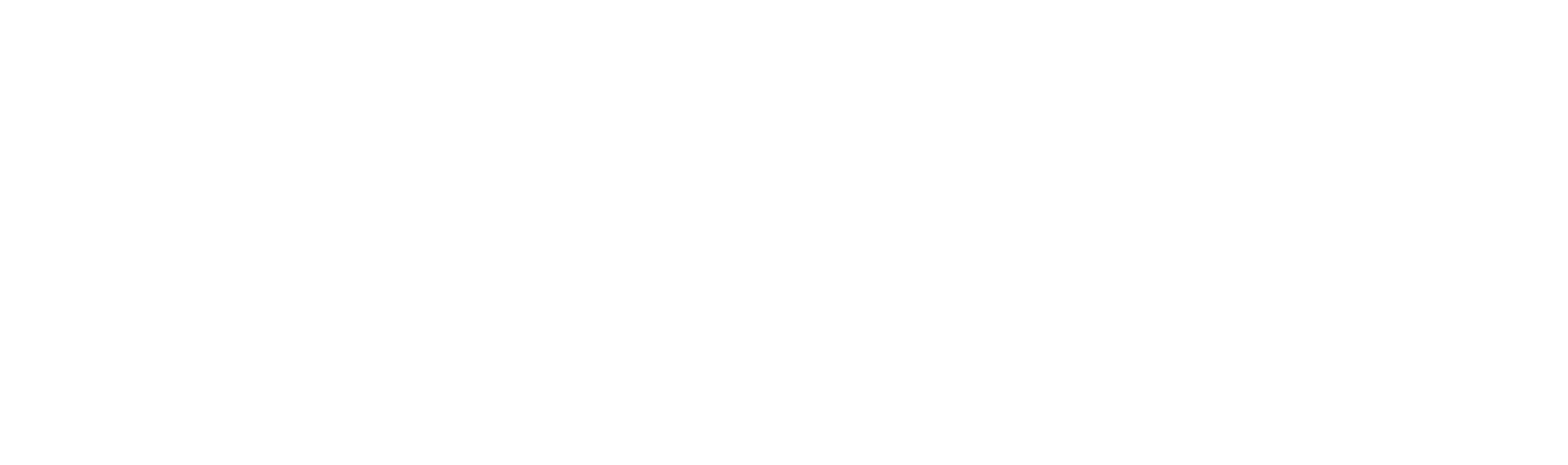 Moskee An-Nasr